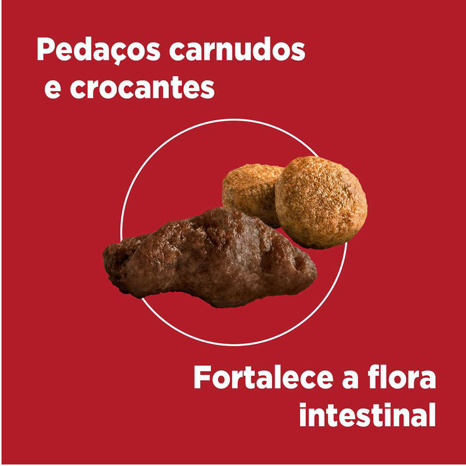Ração Seca Nestlé Purina One Frango e Carne para Cães Adultos Raças Minis e Pequenas - 2Kg