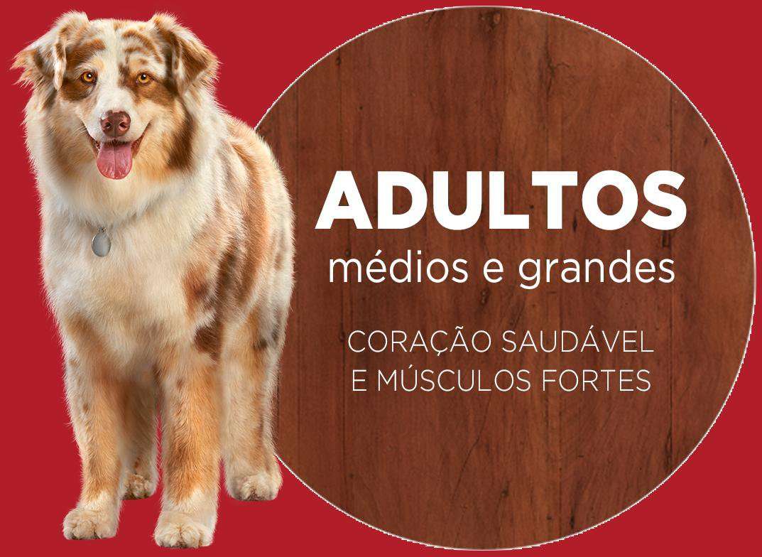 Ração Seca Nestlé Purina One Frango e Carne para Cães Adultos Raças Médias e Grandes - 2Kg