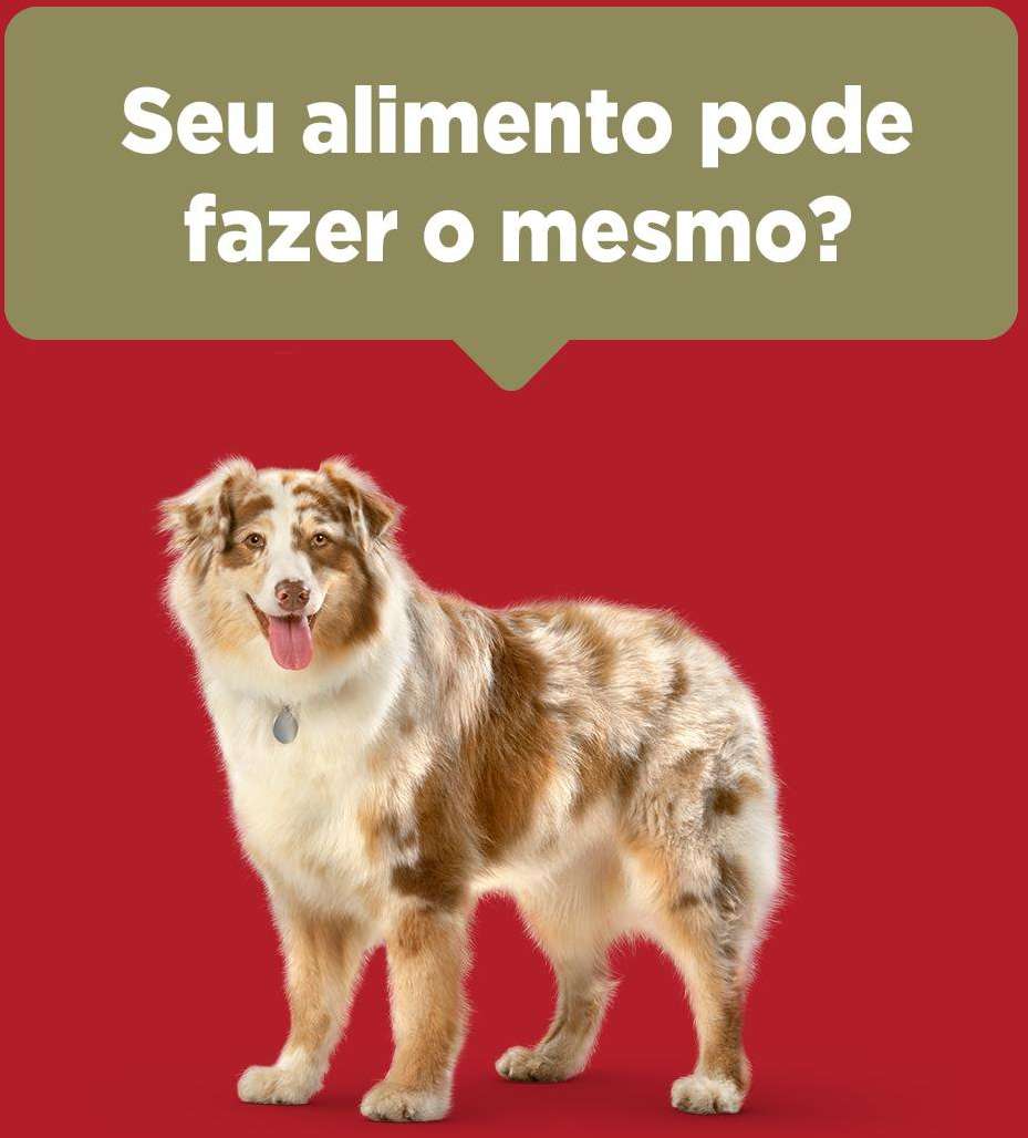 Ração Seca Nestlé Purina One Frango e Carne para Cães Adultos Raças Médias e Grandes - 2Kg
