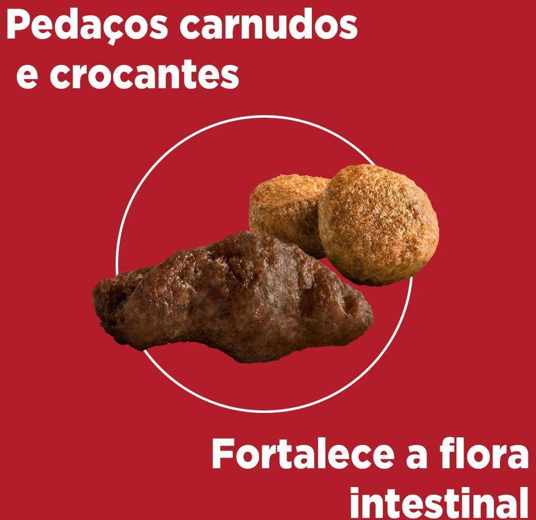 Ração Seca Nestlé Purina One Frango e Carne para Cães Adultos Raças Médias e Grandes - 2Kg
