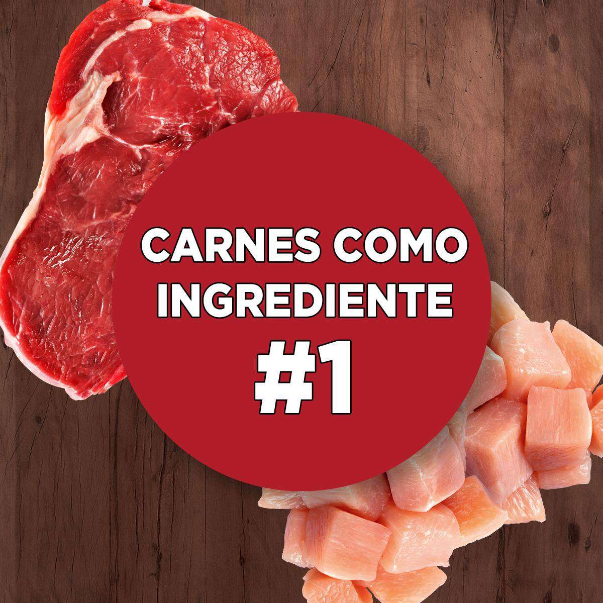Ração Seca Nestlé Purina One Frango e Carne para Cães Adultos Raças Médias e Grandes - 2Kg