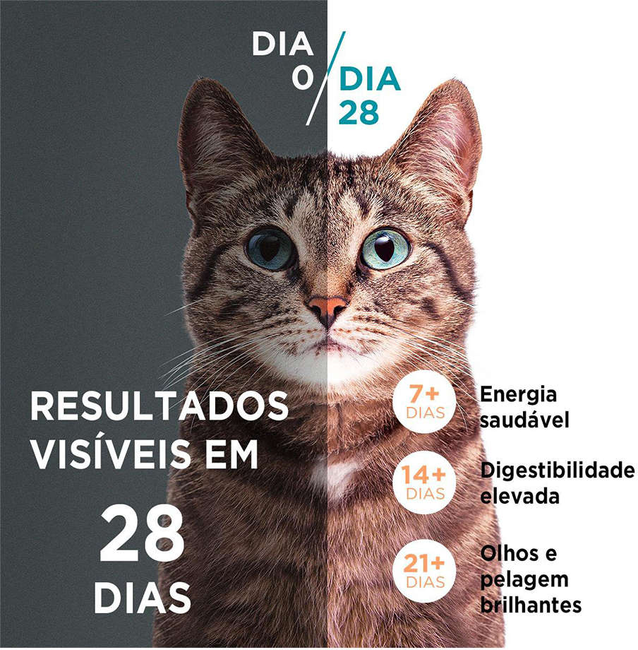 Ração Seca Nestlé Purina One Frango e Carne para Gatos Filhotes - 2Kg