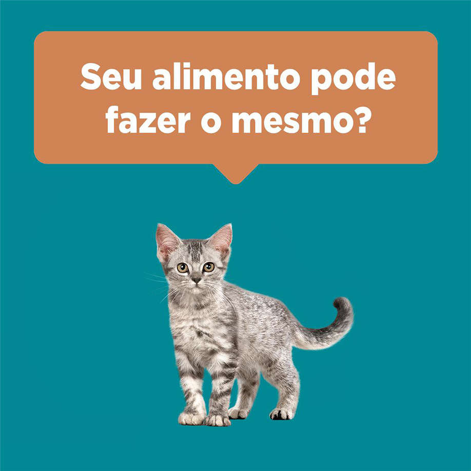 Ração Seca Nestlé Purina One Frango e Carne para Gatos Filhotes - 2Kg