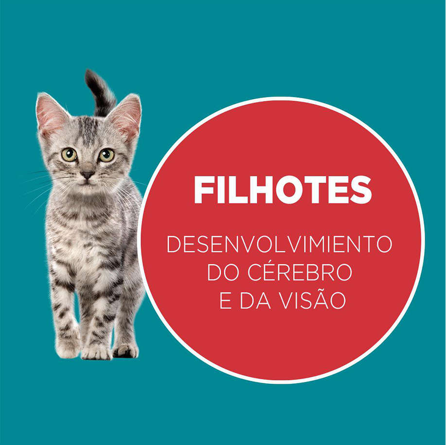Ração Seca Nestlé Purina One Frango e Carne para Gatos Filhotes - 2Kg
