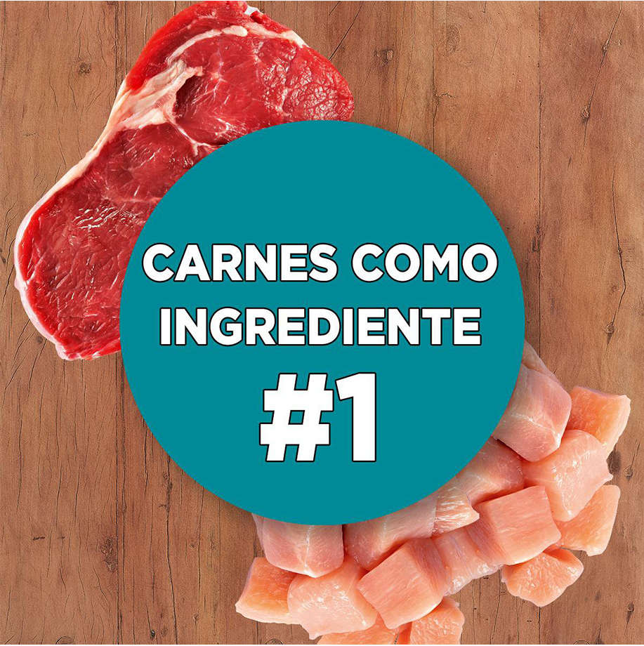 Ração Seca Nestlé Purina One Frango e Carne para Gatos Filhotes - 2Kg