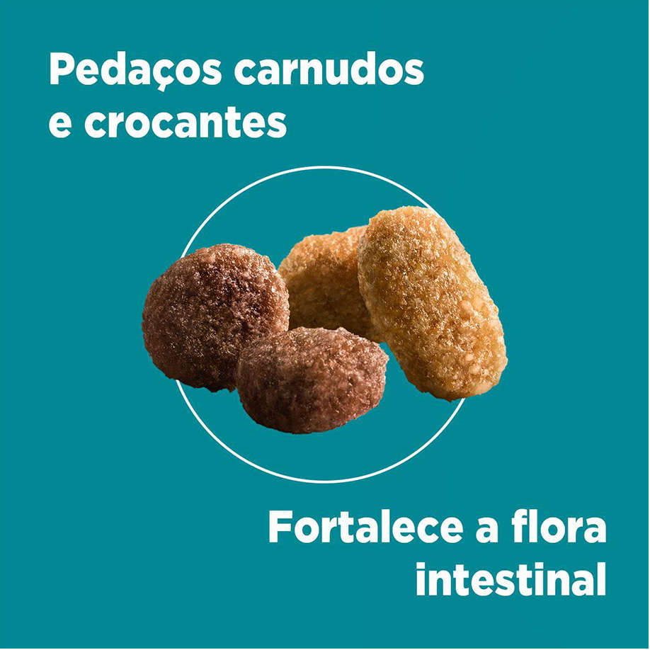 Ração Seca Nestlé Purina One Frango e Carne para Gatos Filhotes - 2Kg