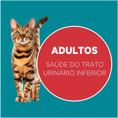 Ração Seca Nestlé Purina One Frango e Salmão para Gatos Adultos