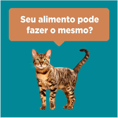 Ração Seca Nestlé Purina One Frango e Salmão para Gatos Adultos