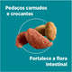 Ração Seca Nestlé Purina One Frango e Salmão para Gatos Adultos