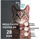 Ração Seca Nestlé Purina One Frango e Salmão para Gatos Adultos