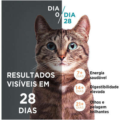 Ração Seca Nestlé Purina One Frango e Salmão para Gatos Adultos