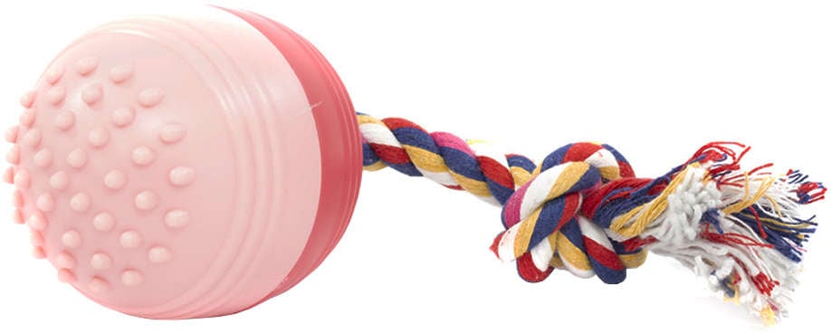 Brinquedo Bola Massageadora The Dogs Toy Sonora - Tam. M