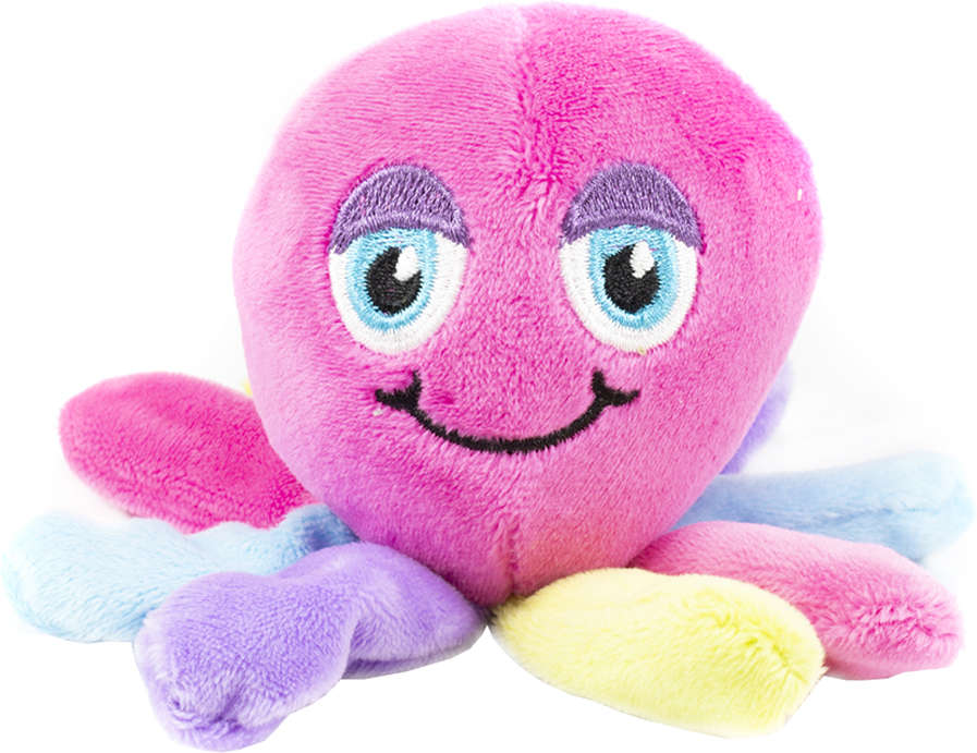 Brinquedo Pelúcia Polvo Arco-Íris para Cães - Tam. Único