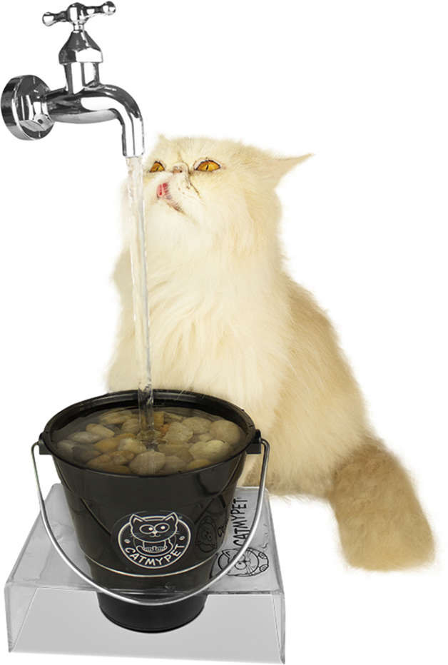 Bebedouro Fonte CatMyPet Torneira MagiCat Black - Bivolt