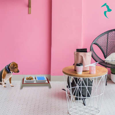 Comedouro Duplo Elevado Vermelho para Cães e Gatos