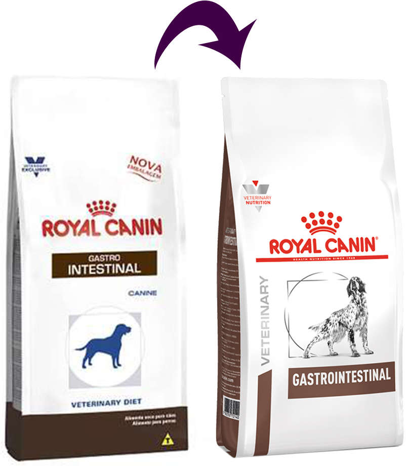 Ração Royal Canin Canine Veterinary Diet Gastro Intestinal para Cães Adultos - 2Kg