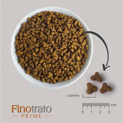 Ração Seca Finotrato Prime Premium Especial para Gatos Filhotes