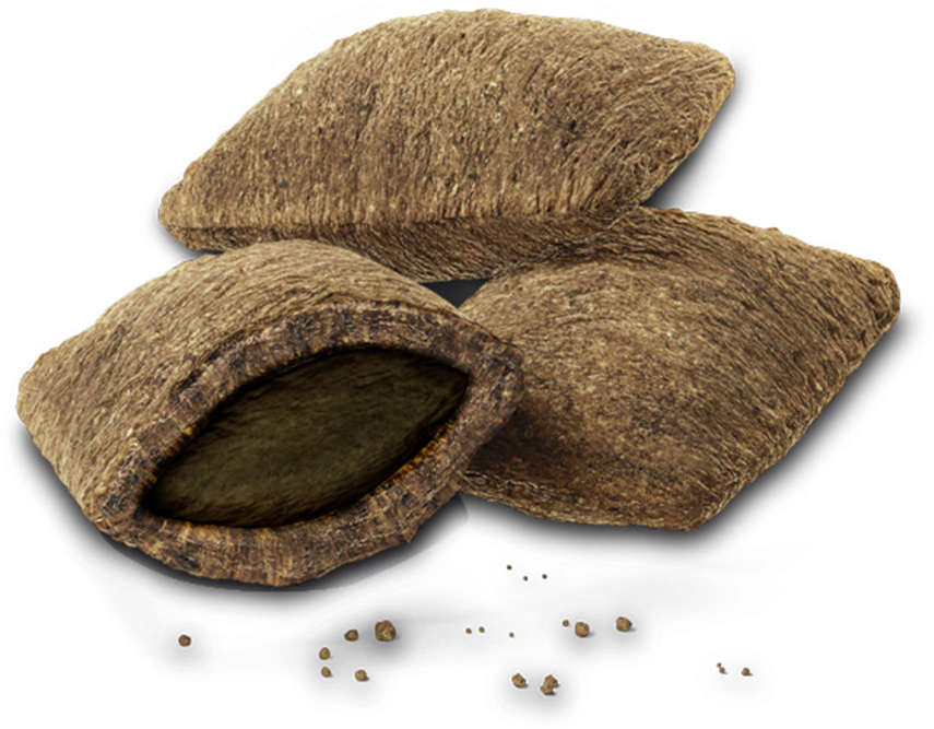 Snack Hana Healthy Life para Gatos Adultos Sabor Fígado Pele e Pelos Saudáveis - 60g