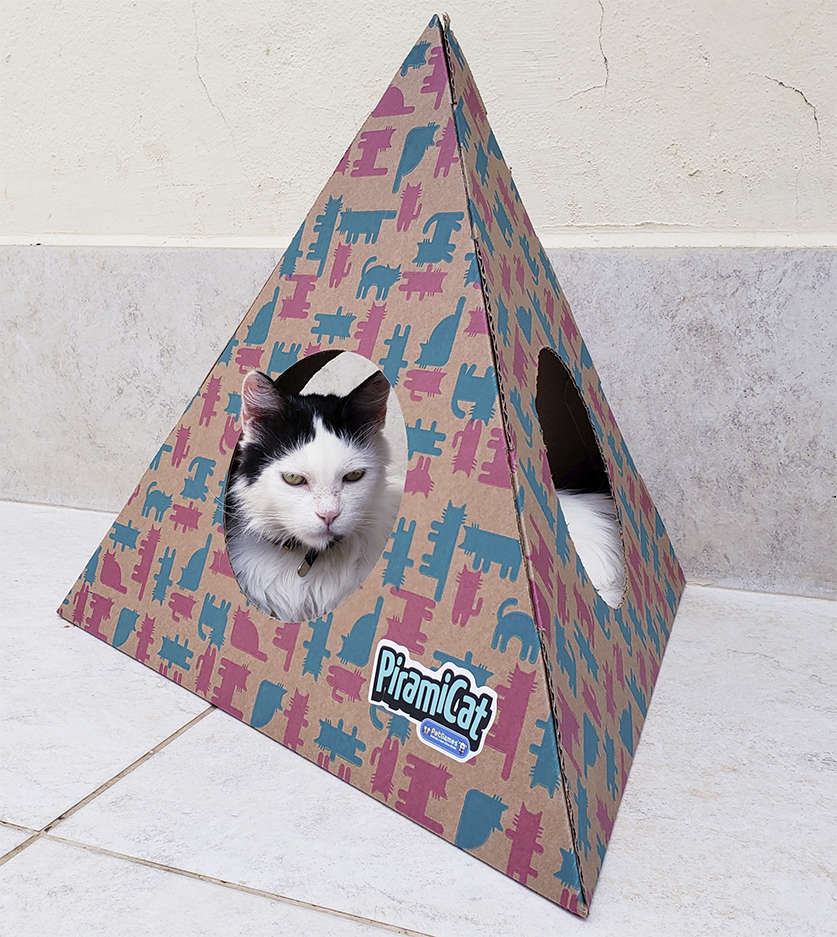 Toca PiramiCat Pink e Verde Água para Gatos - Tam. Único