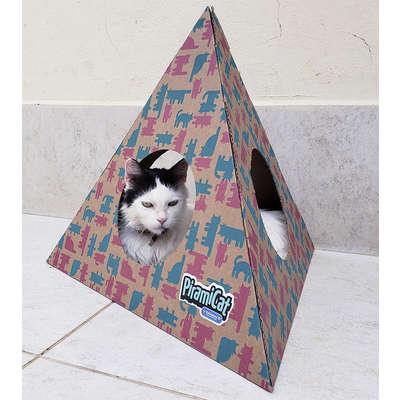 Toca PiramiCat Pink e Verde Água para Gatos