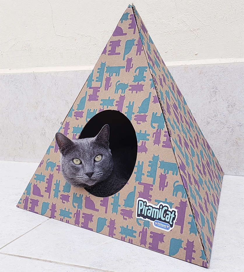 Toca PiramiCat Lilás e Verde Água para Gatos - Tam. Único