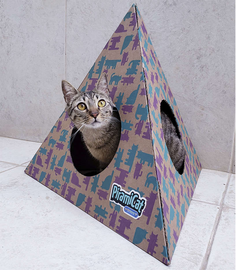 Toca PiramiCat Lilás e Verde Água para Gatos - Tam. Único