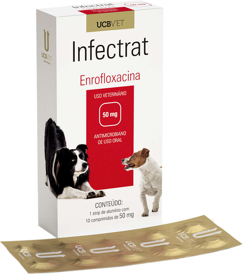 Antibiótico UCBVET Enrofloxacina Infectrat para Cães - 50 mg