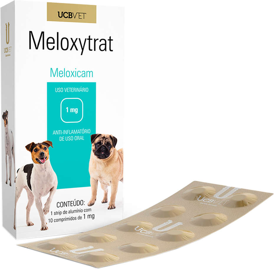 Anti-Inflamatório UCBVET Meloxicam Meloxytrat para Cães - 1 mg
