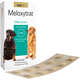 Anti-Inflamatório UCBVET Meloxicam Meloxytrat para Cães