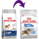 Ração Royal Canin Maxi Light para Cães Adultos ou Idosos obesos de Raças Grandes