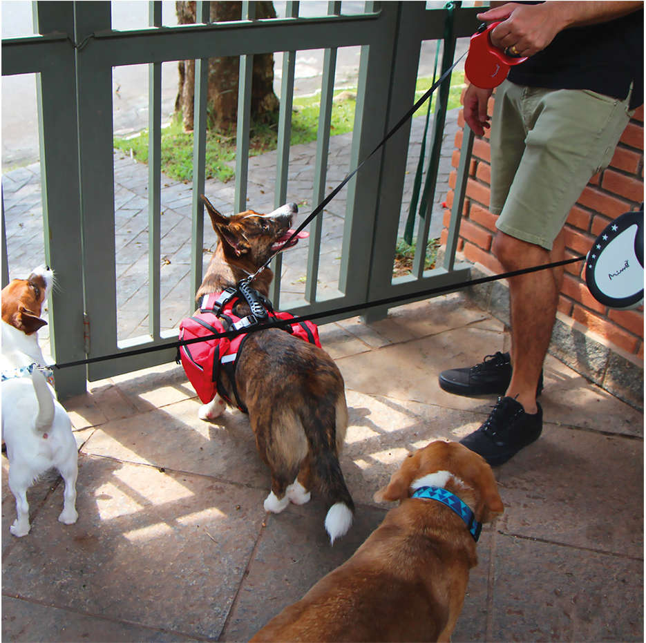 Guia Retrátil Safe Walk Emborrachada Vermelha para Cães - Tam. M