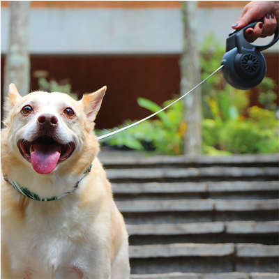 Guia Retrátil Smart Walk Sistema ABS Emborrachada Preta/Cinza para Cães