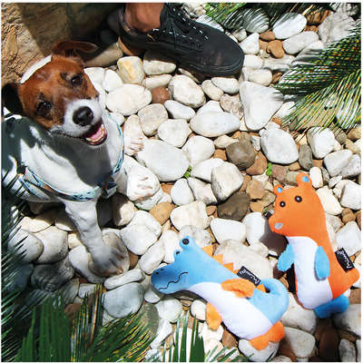 Brinquedo Pelúcia Amiguinhos Animais Urso para Cães
