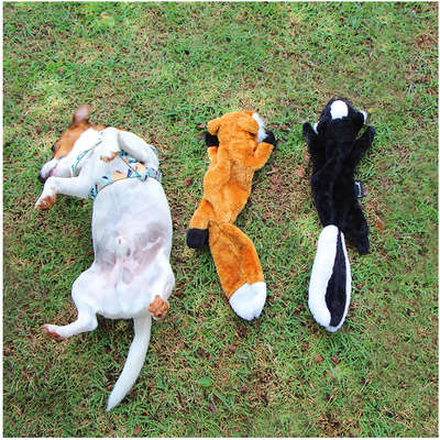 Brinquedo Pelúcia Raposa Foxy para Cães