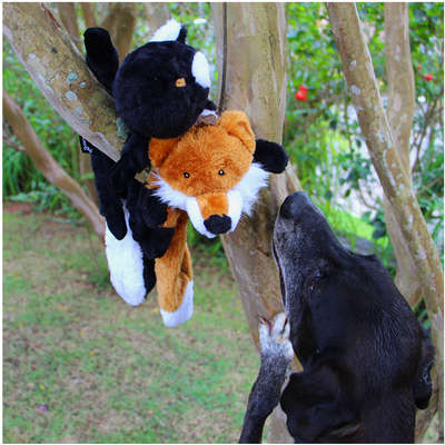 Brinquedo Pelúcia Raposa Foxy para Cães