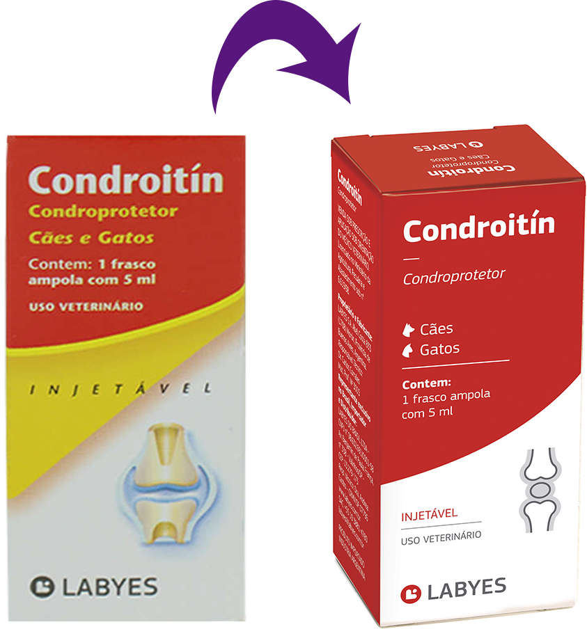 Anti Inflamatório Labyes Condroitin Injetável - 5 mL