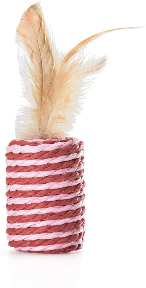 Brinquedo Cilindro com Peninha para Gatos - Tam. Único
