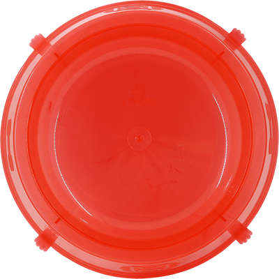 Comedouro Patinhas Lilo Dog Vermelho para Cães