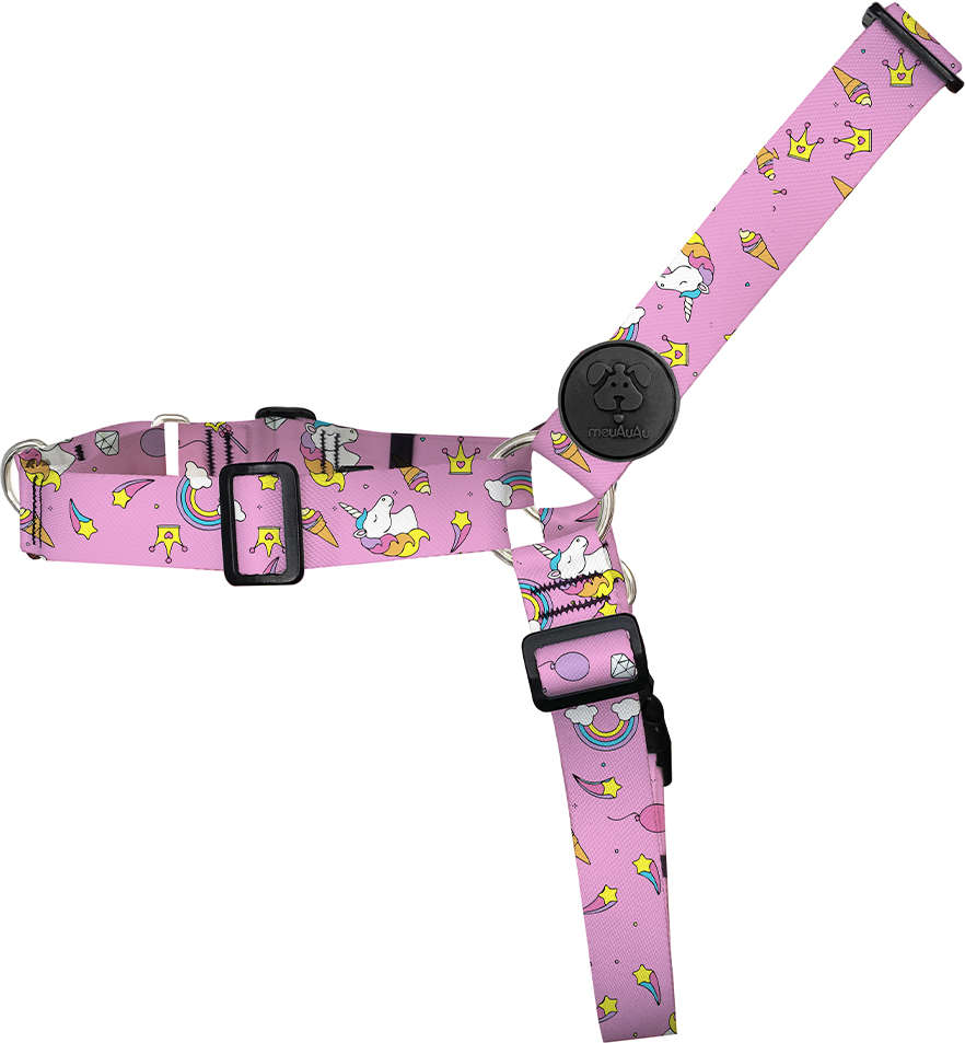 Conjunto Peitoral Antipuxão e Guia Unicórnio Rosa para Cães - Tam. G