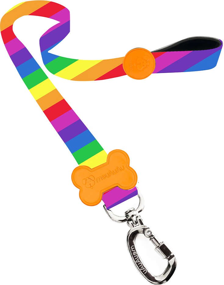 Guia Rainbow para Cães - 1,20 x 0,25 mm