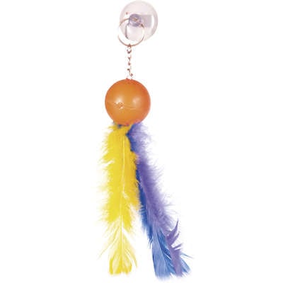Brinquedo Cat Toy Ventosa para Gatos