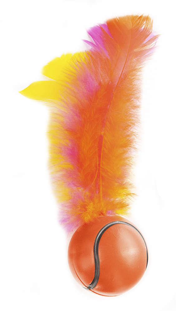 Brinquedo Bolinha Cat Toy Tennis para Gatos - Tam. Único