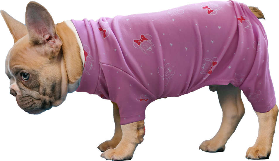 Pijama Disney Minnie Rosa - Tam. 03