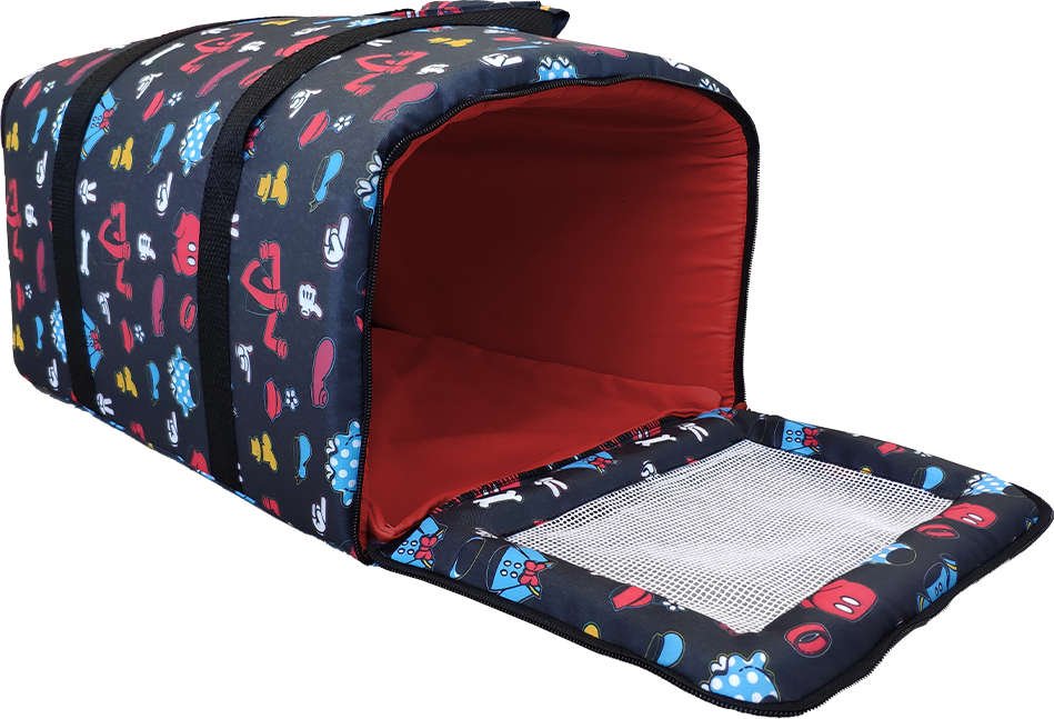 Bolsa de Transporte Avião LT - Disney - Tam. Único