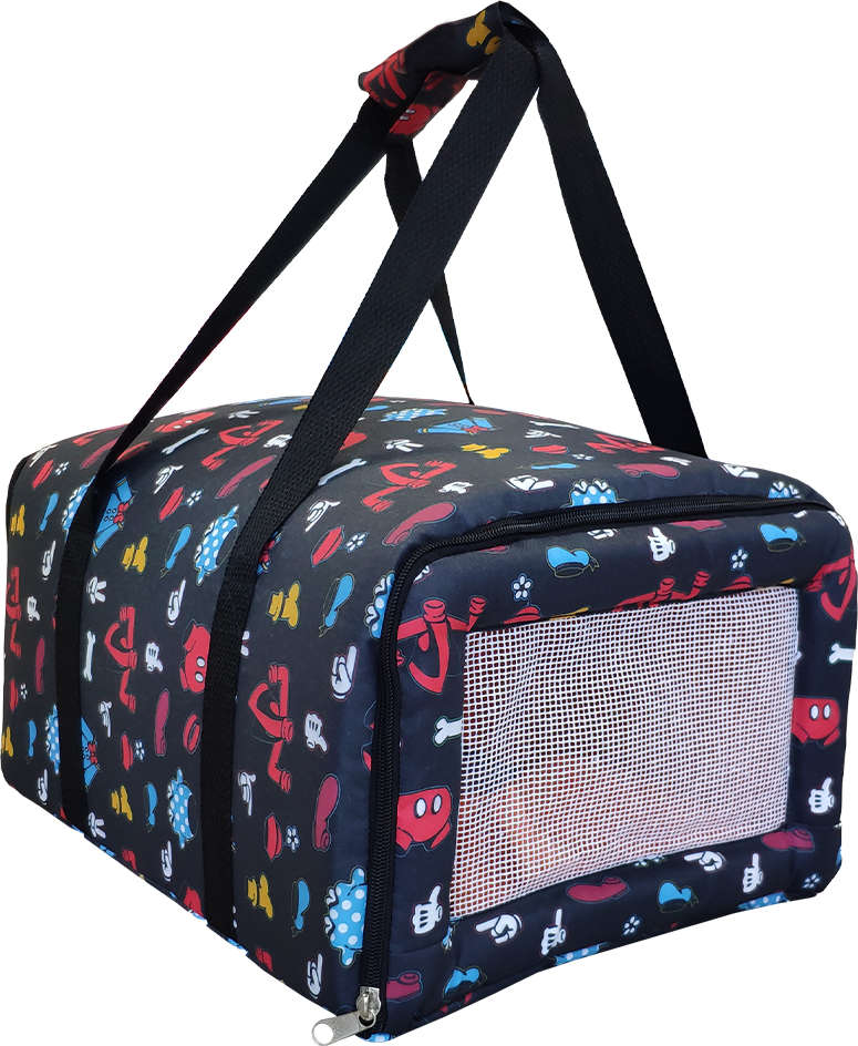 Bolsa de Transporte Avião LT - Disney - Tam. Único