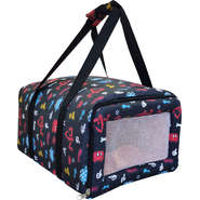 Bolsa de Transporte Avião LT - Disney - Tam. Único