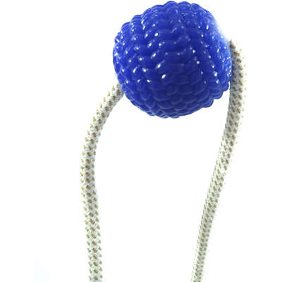 Brinquedo Mordedor Bola com Ventosa Azul para Cães