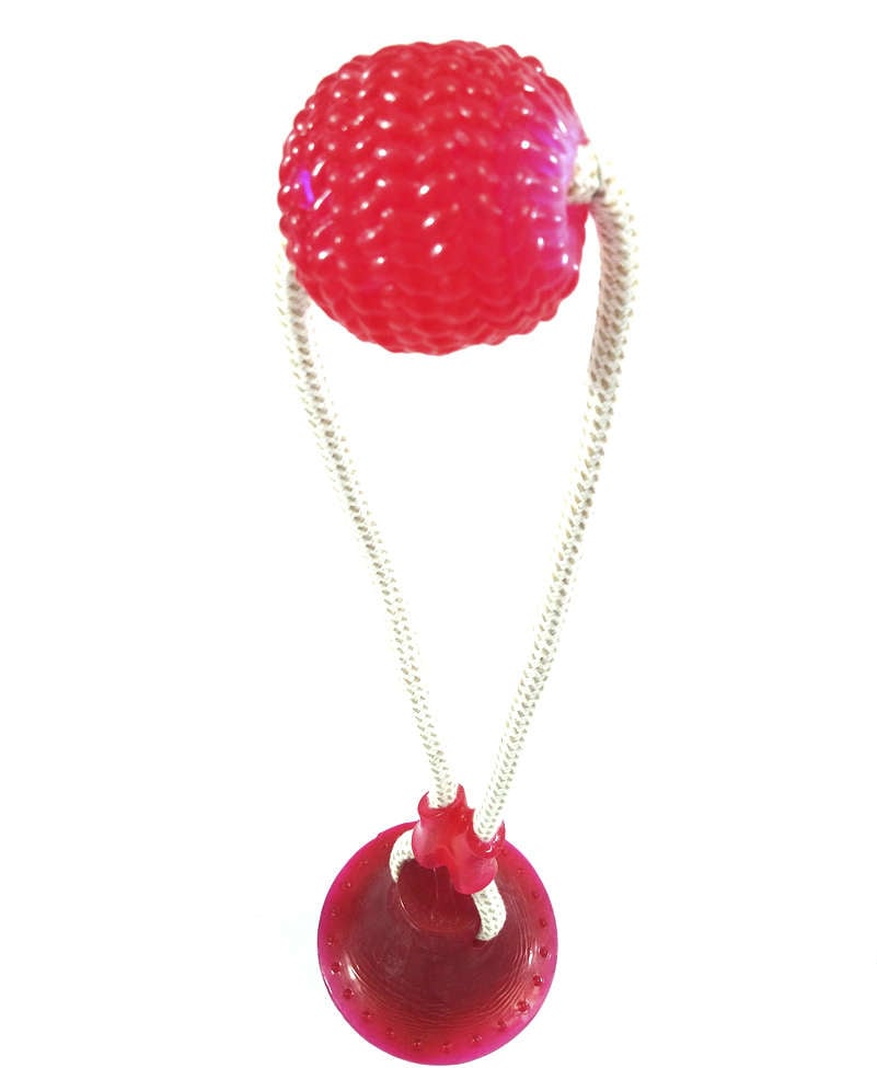 Brinquedo Mordedor Bola com Ventosa Rosa para Cães - Tam. Único