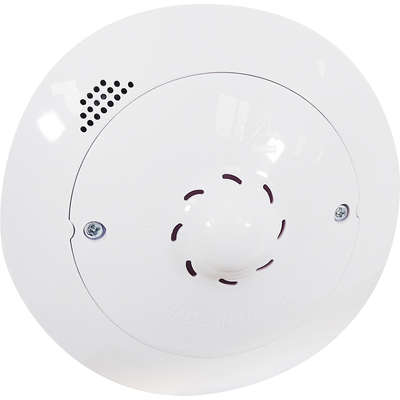 Brinquedo The Cats Crazy Spinner para Gatos
