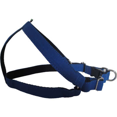 Peitoral Americano Fecho Nylon Azul para Cães